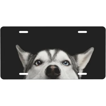 Bonito Adorável Husky Cachorro Animal de Olhos Azuis de Alumínio da Placa de Licença de Metal Decorativo Carro da Frente da Placa de Licença Cobertura com 4 Furos