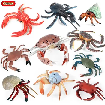 Simulação de Mar de Vida de Animais Rei Aranha Pão de Eremita, Modelo de Figuras de Ação PVC de Alta Qualidade em Miniatura Crianças Brinquedo Presentes